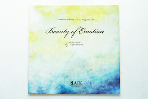 แต้มสีที่อารมณ์ Beauty of Emotion - Image 2