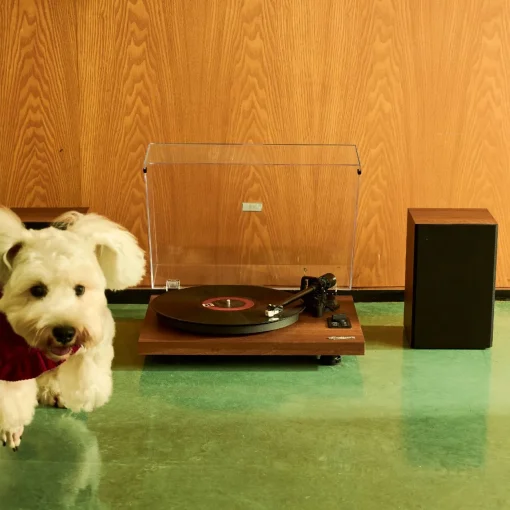 เครื่องเล่นแผ่นเสียง Gadhouse HENRY Hi-fi Turntable with Bookshelf Speakers (New) - Image 9