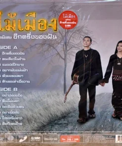 ไม้เมือง – อีกครึ่งของฝัน