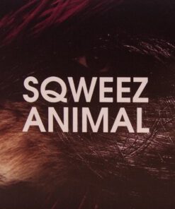 Sqweez Animal – อาจยังไม่สาย (Purple Vinyl)