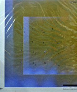 BlackBeans – Photosynthesis EP (Yellow Smoke Vinyl)