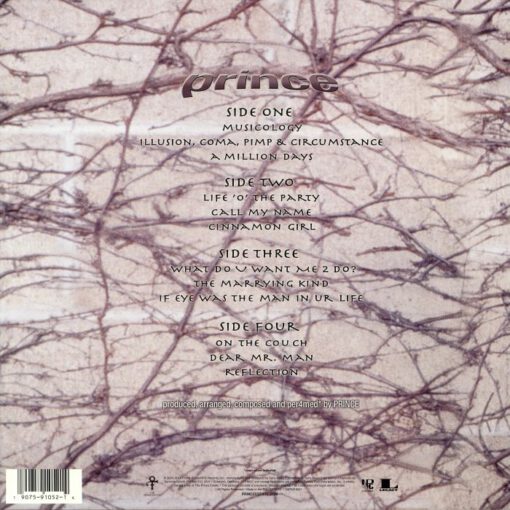 Prince - Musicology - Image 2