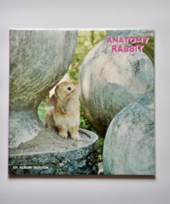 Anatomy Rabbit – Hootok (Pink&White Mixed Vinyl)