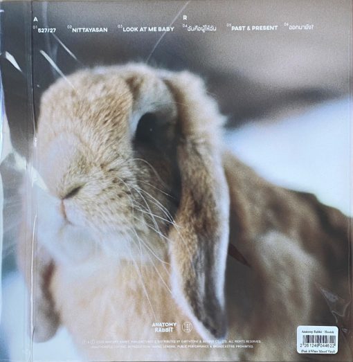 Anatomy Rabbit - Hootok (Pink&White Mixed Vinyl) - Image 2