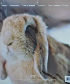 Anatomy Rabbit – Hootok (Pink&White Mixed Vinyl)