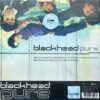 BlackHead - Pure (Blue Vinyl) - Image 2