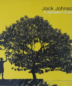 Jack Johnson – In Between Dreams