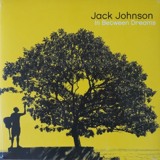 Jack Johnson - In Between Dreams