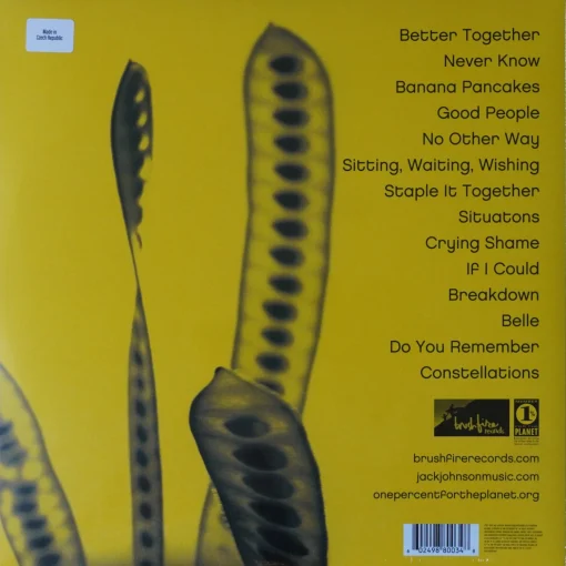 Jack Johnson - In Between Dreams - Image 2
