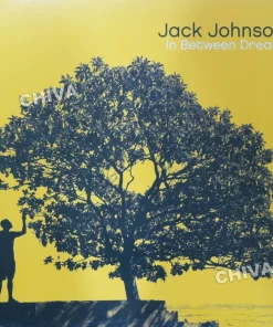 Jack Johnson – In Between Dreams