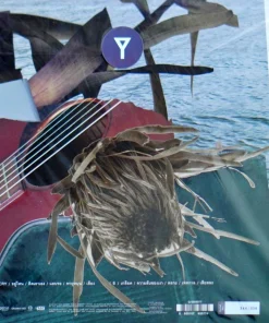 The Yers – Cry (Claer Vinyl)