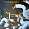 Tangbadvoice - Essentials (Color Vinyl)