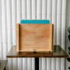 กล่องแผ่นเสียง GADHOUSE Vinyl Storage - Image 2
