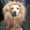 Big Ass - The Lion(Color Vinyl)