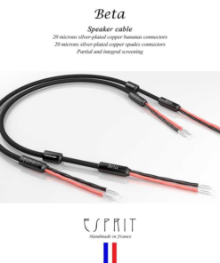 สายลำโพง Esprit Audio Beta Speaker Cable 3M (New)