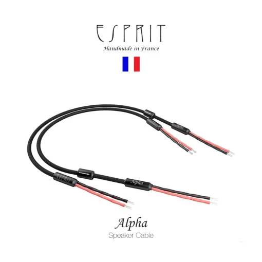 สายลำโพง Esprit Audio Alpha Speakers 3M (New)