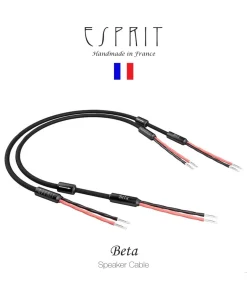 สายลำโพง Esprit Audio Beta Speakers 3M (New)