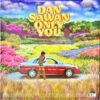 The Richman Toy - Dan Sawan Only You (Butterfly Vinyl) - Image 2