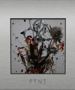CD The Yers – PYNT