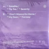 HYBS - Well Done (Fantasy Vinyl) - Image 2