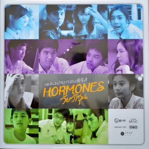 เพลงประกอบซีรีส์ Hormones วัยว้าวุ่น (Clear Vinyl)