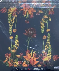 Bowkylion – Lionheart (Clear Vinyl)