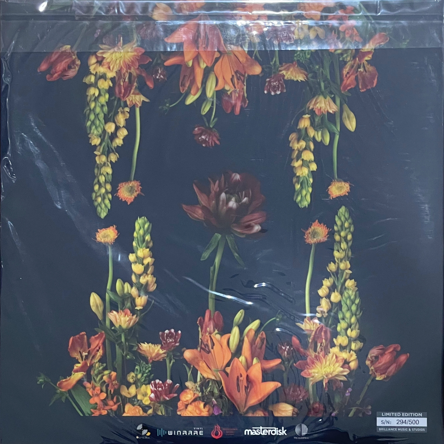 Bowkylion - Lionheart (Clear Vinyl) - Image 2
