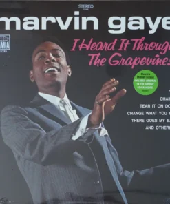 Marvin Gaye – I Heard It Through The Grapevine!