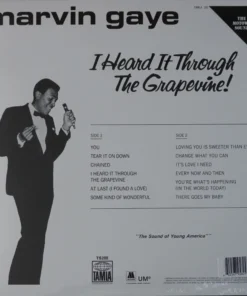 Marvin Gaye – I Heard It Through The Grapevine!