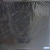 Lomosonic - Lost Frequencies (Transparent Vinyl) - Image 2