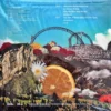 Earth Patravee - Emotional Rollercoaste (Color Vinyl) - Image 2