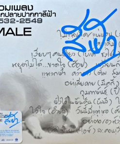รวมศิลปิน – รวมเพลงจากปลายปากกาสีฟ้า 2532-2549 Male (Color Vinyl)