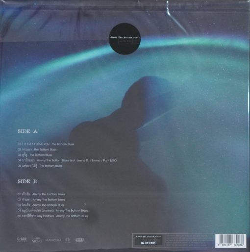The Bottle Blues - รวมเพลง Ammy และThe Bottom Blues (Color Vinyl) - Image 2