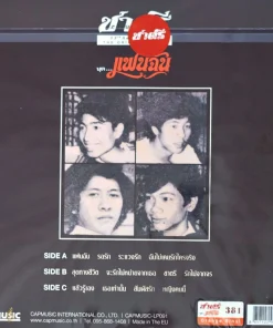 ชาตรี – แฟนฉัน (Color Vinyl)