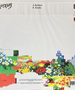 Moderndog X Na Polycat – Busaboy (Color Vinyl)