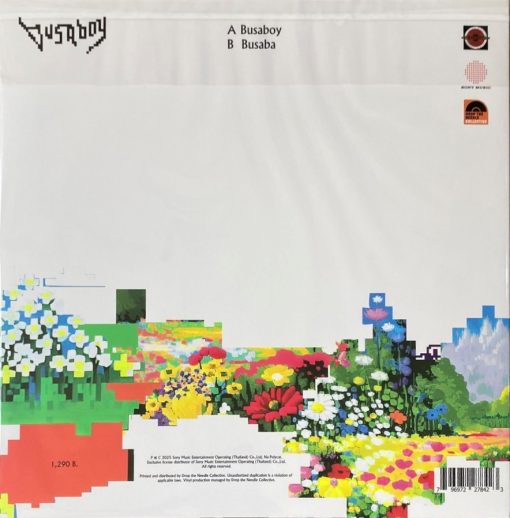 Moderndog X Na Polycat - Busaboy (Color Vinyl) - Image 2