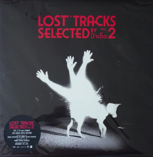 Lost Tracks By DJ Pa Ted Vol.2(Color Vinyl)