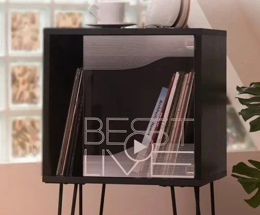 ชั้นวาง Fennessy Donut i5s Vinyl Rack (New) - Image 2