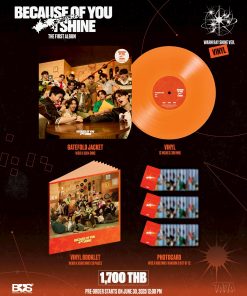 Bus – Because of you, I shine