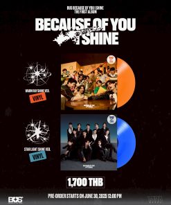 Bus – Because of you, I shine