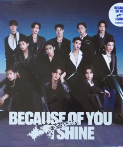 Bus – Because of you, I shine