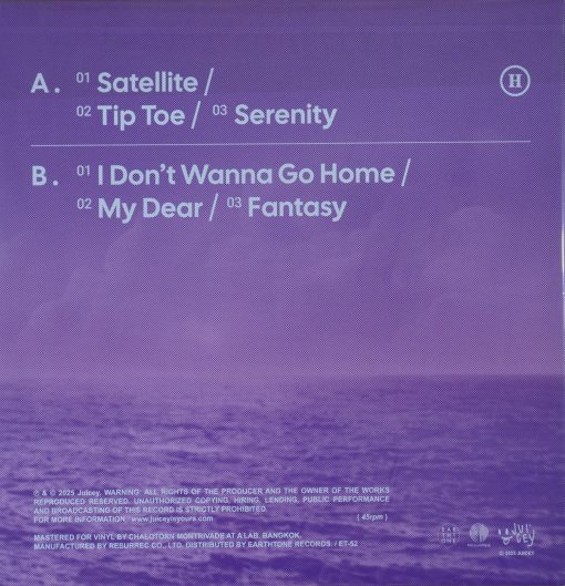 HYBS - Well Done (Fantasy Vinyl) - Image 2