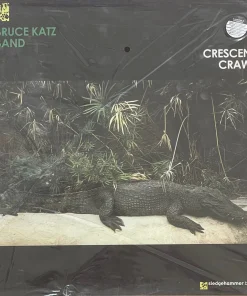Bruce Katz Band – Crescent Crawl