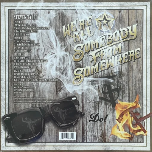 Steven Tyler - We're All Somebody From Somewhere - Image 2