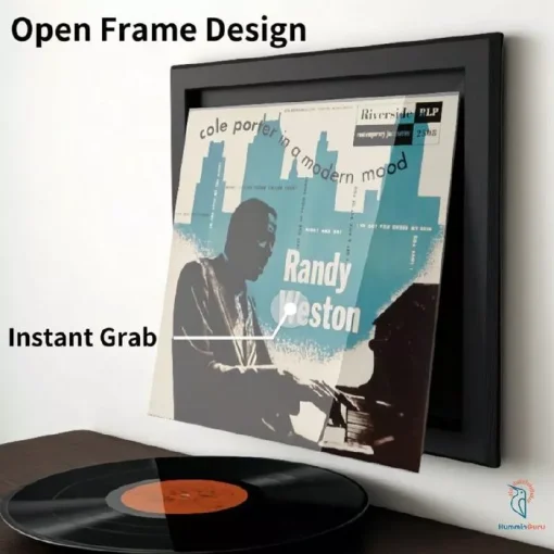 HumminGuru Wall Display Record Frame (Set of 4) (NEW) - Image 2