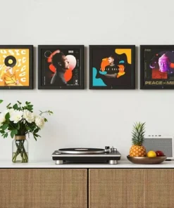 HumminGuru Wall Display Record Frame (Set of 4) (NEW)
