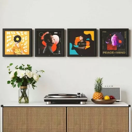 HumminGuru Wall Display Record Frame (Set of 4) (NEW)