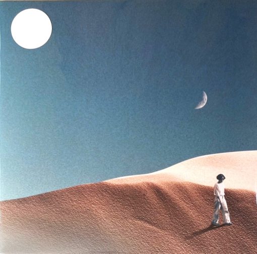 Stoondio - Common Sense (Common Mint Vinyl)