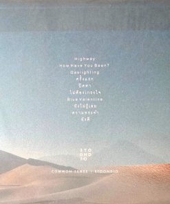 Stoondio – Common Sense (Common Mint Vinyl)