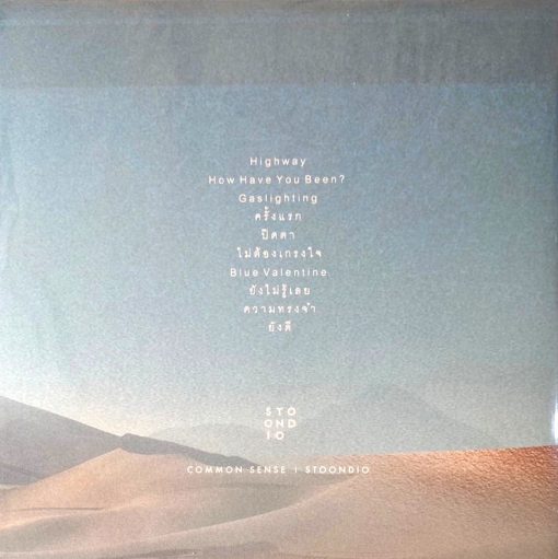 Stoondio - Common Sense (Common Mint Vinyl) - Image 2